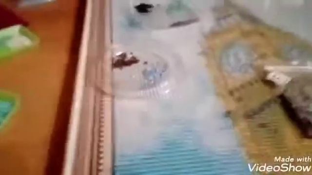 Что я делаю вечером или в свободное время? смотреть онлайн