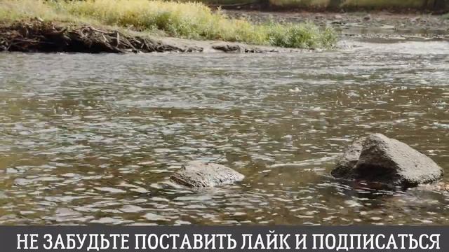 Письма друг другу, которые открыли глаза на...Интересные истории из жизни. Аудиорассказ смотреть онлайн