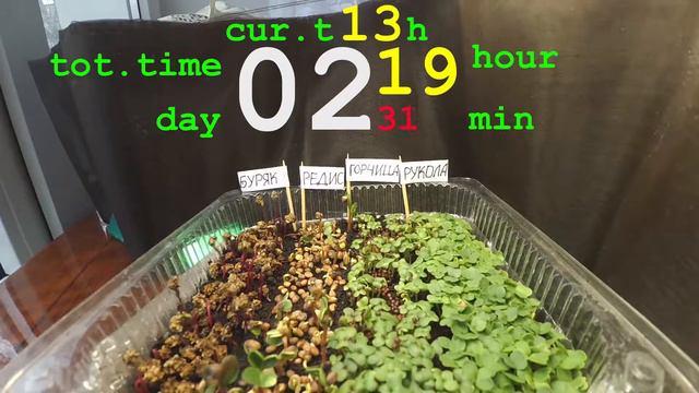 грядка, няш-версия смотреть онлайн