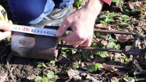 Как быстро пересадить клубнику | Сажалка своими руками