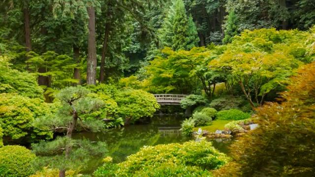 Relaxation Visualization Zen Garden Talk Down: Sleep & Stress Relief смотреть онлайн