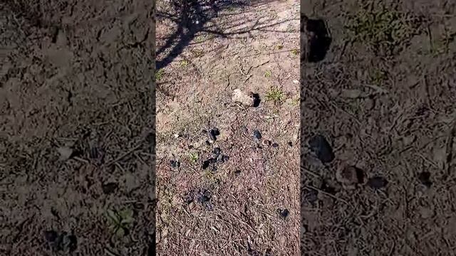 Тёплые грядки. смотреть онлайн