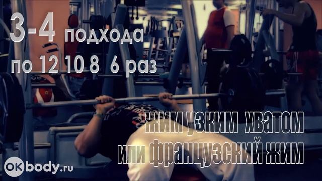 SF Набор мышечной массы программа тренировок Часть 3 смотреть онлайн