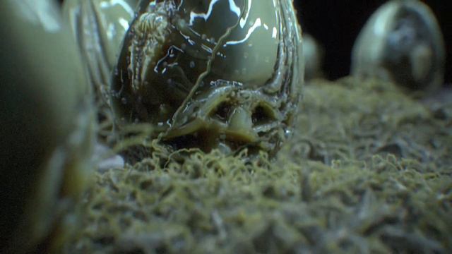 Midjourney AI to 3d - Alien Faberge Egg смотреть онлайн