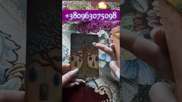 Гадание Послание от Друидов смотреть онлайн
