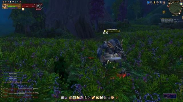 WoW Classic: Ret. Paladin Level 23 смотреть онлайн