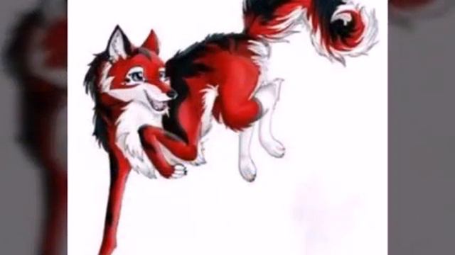 Это начало для другого канала который называется Эрор Котик . смотреть онлайн