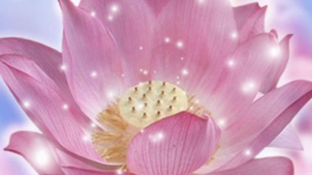 Джай Гурудев! | Amrit Kirtan - Om Namo Guru Dev Namo смотреть онлайн