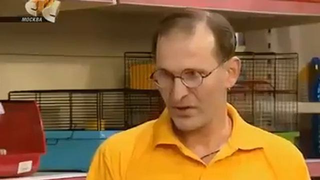 Я хочу купить собачку. смотреть онлайн