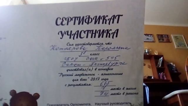 Мои новые грамоты и сертификаты смотреть онлайн