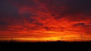 Daily Prayer: For The Scattered Among The World