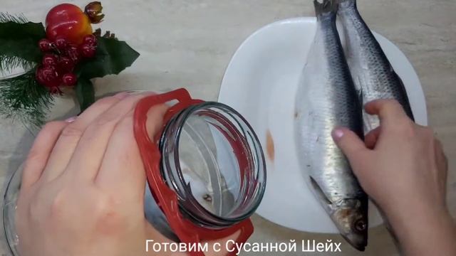 Малосольная селёдка. Готовим с Сусанной Шейх. смотреть онлайн