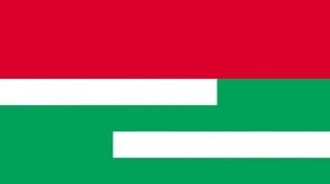 UNPO Members Flag Animation