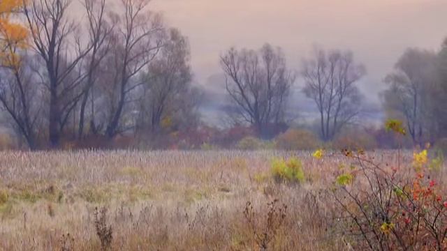 Золотая околица смотреть онлайн