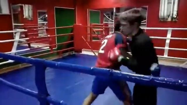 Бокс "Скорпион" Домодедово смотреть онлайн