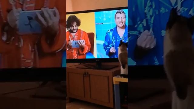 Барсик и реклама Феликса! Кого же выберет Баскова с рыбой или Киркорова с мясом? Смотри до конца!