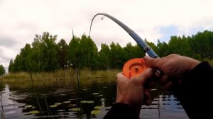 КАРП НА БОКОВОЙ КИВОК/ЛОВЛЯ КАРПА/ ссылка на продолжение в комментариях и описании