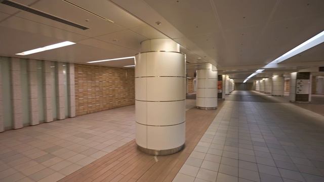 2K・ Затерянный в Токийских подземелье