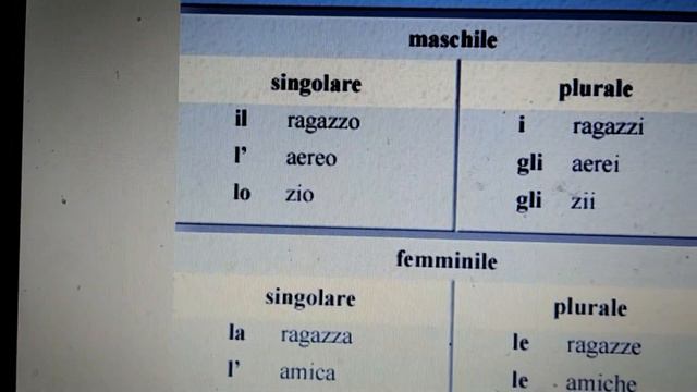Род и число имен существительных в итальянском языке. смотреть онлайн