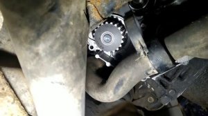 Замена ремня ГРМ Ситроен Берлинго 2000 год, 1.9 D.