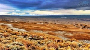 Южная Америка. Пампасы. Природные зоны. География - легко!