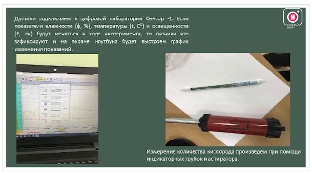 Испарение воды и выделение кислорода растениями смотреть онлайн