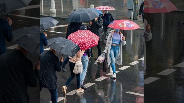 Сергей Одинцов (А птицы ? улетели) смотреть онлайн