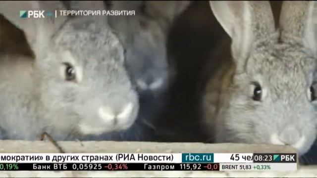 Территория развития. Дальний Восток. Камчатский край 02 смотреть онлайн