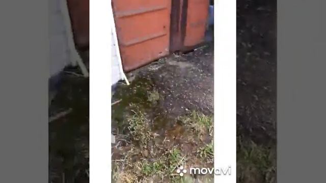 Электропастух "Статик-3М" для коз смотреть онлайн