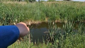 НАЛОВИЛ КРУПНЯКА. Удачная рыбалка на экраны-телевизоры.