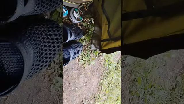 Карп Сазан Рыбалка С Ночевкой смотреть онлайн