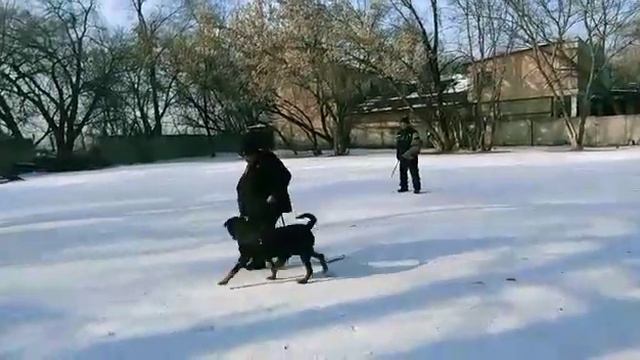 Виват Виктор из Тверского Дома. смотреть онлайн