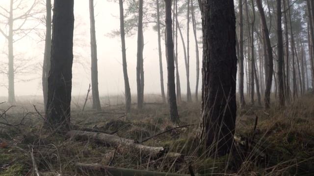 Сборник - NRJ Hits 2022 Vol.2 смотреть онлайн