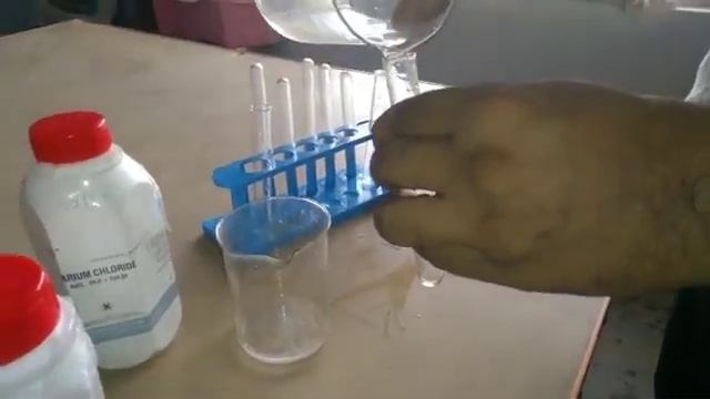 Science | Activity 1.10 | Barium Chloride & Sodium Sulphate, Double Displacement, BaSO4 Precipitate