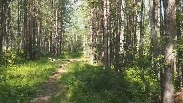 Проснувшись, я рассказала сон мужу... смотреть онлайн