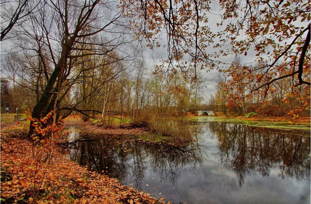 ОСЕНЬ "Унылая пора, очей очарованье"