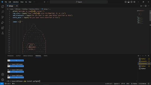 Python ASCII art overview смотреть онлайн