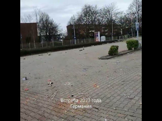 Встреча Нового года в Германии! По принципу кто больше нагадит. смотреть онлайн