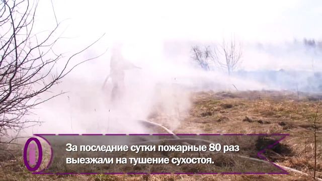 Новости Тулы: Осложнилась пожароопасная обстановка. смотреть онлайн