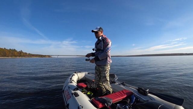 Какие приманки предпочитает судак? Ловля судака в коряжнике. Делюсь секретами. смотреть онлайн