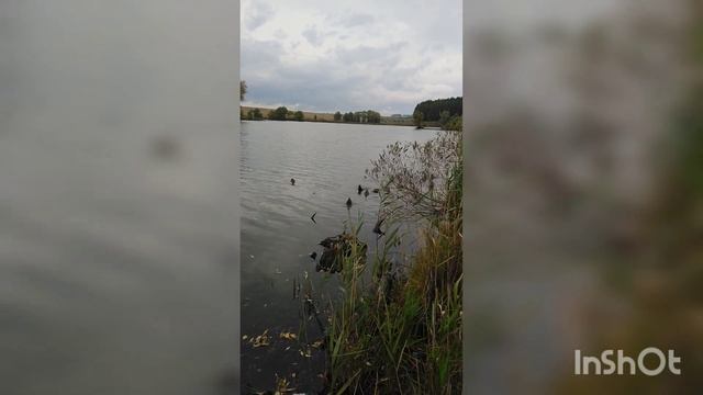 Казённый пруд города Лукояново смотреть онлайн