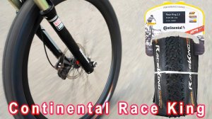 Continental Race King. Отзыв через год, второе колесо.