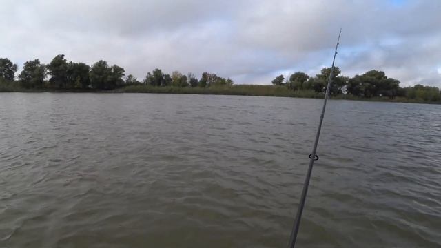 РЫБАЛКА В АСТРАХАНИ |2022| ГДЕ ВСЯ РЫБА? смотреть онлайн