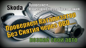 Skoda: Проверка Катализатора на VAG (2021)