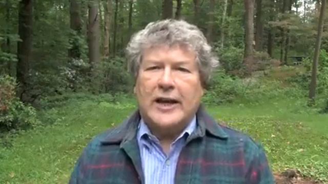 Chinook salmon bycatch cap put on Gulf of Alaska pollock fishery смотреть онлайн