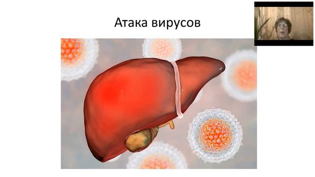 Печень. Друзья и враги. Здоровье без лекарств с Натальей Пашковой. смотреть онлайн