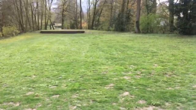 Украинцы в Германии. Как проходят праздничные дни. смотреть онлайн