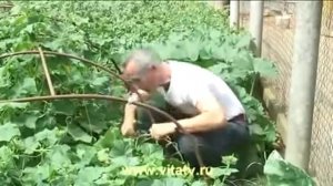 Доктор Попов - Сила земли