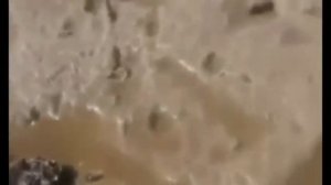 Страшные находки на обмелевшем дне Каховского водохранилища.