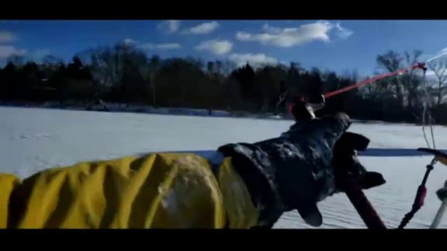 2018.02 Сенеж, Солнечногорск, кайт, сноуборд, kayt snowboard Seneg SunHillsCity смотреть онлайн